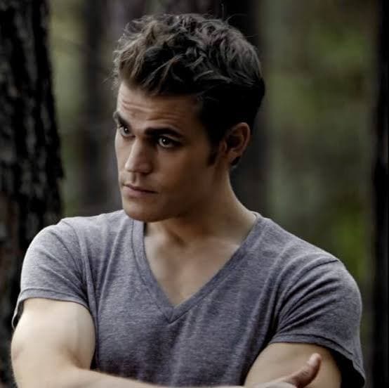 Stefan Salvatore U.S. Polo Assn. Grey V-Neck T-Shirt